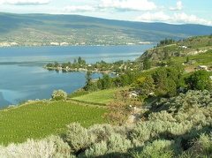 Vineyards and Orchards