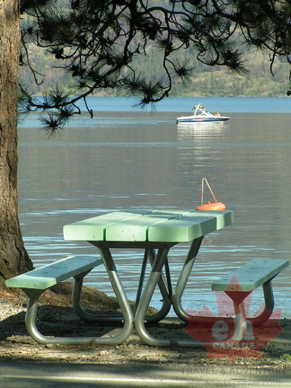 Lakefront Picnics