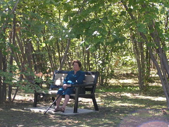 Sitting Bench