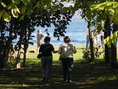 Walking in the Shade