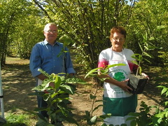 Gardening