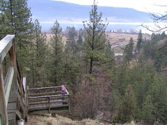 Lookout