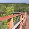 Bellevue Trestle