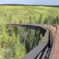 Curves in the KVR