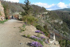 Trestle #17
