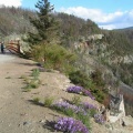Trestle #17