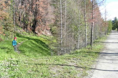 Tote Trail