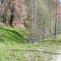 Tote Trail