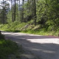 Cattle Guard