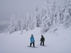 Boarding Dudes