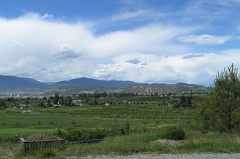 Fields of Orchards