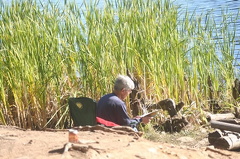 Reeds and Reading