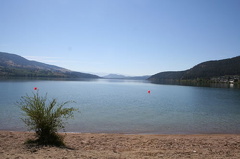 wood-lake 001.jpg