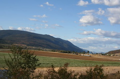 Fields in Winfield