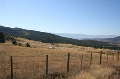 Fencing for Cattle.