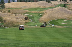 Golf Carts