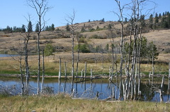 Mackay Reservoir
