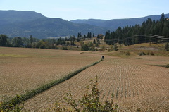 Agriculture in the Community