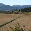 Agriculture in the Community