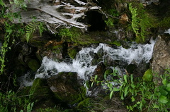 Running Creek