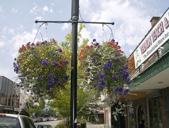 Flower Basket