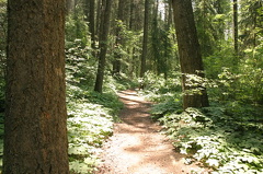 Recreation Trail