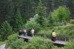 Walkway