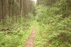 Hiking Trail