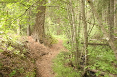 Hiking Trail