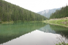 Olive Lake