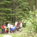 Picnic Park