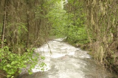 River