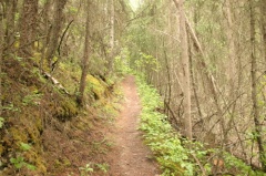 Hiking Trail