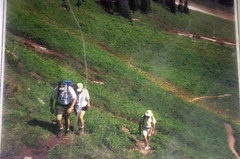 Hiking