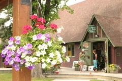 Floral Hanging Pots
