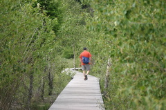 Hiker