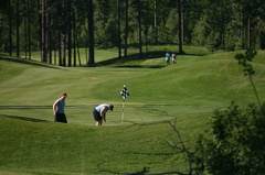 golf 002.jpg