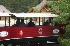 Riding the Train