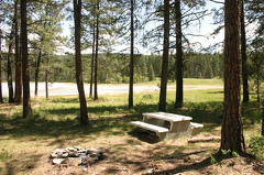 Picnicking