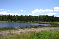 Slough