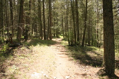 Sylvan Lake Trail