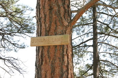 Juniper Trail
