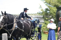 Carriage Rides