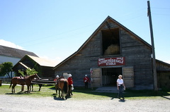 Livery Stables