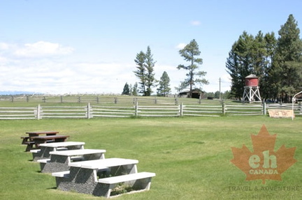 Picnic Site