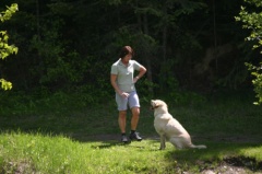 Dog Walking
