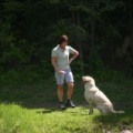 Dog Walking