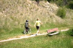 Walkers