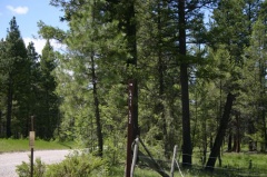 Directional Sign