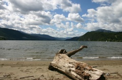 Beach Log